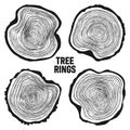 Round tree trunk cuts, sawn pine or oak slices, lumber. Saw cut timber, wood. Wooden texture with tree rings. Hand drawn Royalty Free Stock Photo