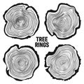 Round tree trunk cuts, sawn pine or oak slices, lumber. Saw cut timber, wood. Wooden texture with tree rings. Hand drawn Royalty Free Stock Photo