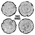 Round tree trunk cuts, sawn pine or oak slices, lumber. Saw cut timber, wood. Wooden texture with tree rings. Hand drawn Royalty Free Stock Photo