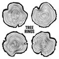 Round tree trunk cuts, sawn pine or oak slices, lumber. Saw cut timber, wood. Wooden texture with tree rings. Hand drawn Royalty Free Stock Photo