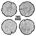 Round tree trunk cuts, sawn pine or oak slices, lumber. Saw cut timber, wood. Wooden texture with tree rings. Hand drawn Royalty Free Stock Photo