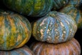 Round Tropical Pumpkin, colored pumpkins Royalty Free Stock Photo