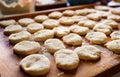 Round unbaked pies Royalty Free Stock Photo