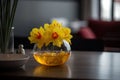 A round vase filled with Daffodil at the table. Lunar new year decoration Royalty Free Stock Photo
