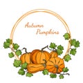 Round vector frame with pumpkins and leaves. Hand drawn template with space for text isolated on white. Autumn gourds