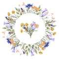 Round watercolor frame with wildflowers: cornflower, bells, tansy, yellow daisy and grass Royalty Free Stock Photo