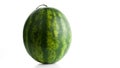 Round watermelon with a tail isolated on white background.