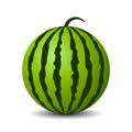 Round watermelon vector icon