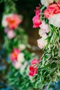 Round wedding arch of flowers and olive branches. Hanging on the