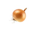 round whole onions in brown husk isolated on a white background