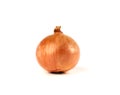 round whole onions in brown husk on a white background