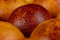 round whole red ripe group of oranges close-up