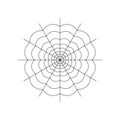 Round whole spider web isolated on white background. Halloween spiderweb element. Cobweb line style. Vector illustration for any Royalty Free Stock Photo