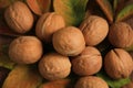 round whole walnut on the background of autumn leaves, top view