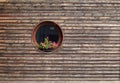 Round window with a geranium flower pot on  rustic wooden facade. Royalty Free Stock Photo