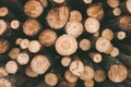 Round wood, a stack of cut trees. Sectional view from the end of the tree and growth rings Royalty Free Stock Photo