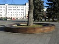 Round wooden bench