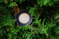 Round wooden frame on a background of cypress foliage