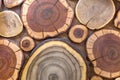 Round wooden unpainted solid natural ecological soft colored brown and yellow crackled stumps background, tree cut sections with