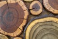 Round wooden unpainted solid natural ecological soft colored brown and yellow crackled stumps background, tree cut sections with