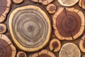 Round wooden unpainted solid natural ecological soft colored brown and yellow crackled stumps background, tree cut sections with