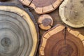 Round wooden unpainted solid natural ecological soft colored brown and yellow crackled stumps background, tree cut sections with