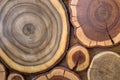 Round wooden unpainted solid natural ecological soft colored brown and yellow crackled stumps background, tree cut sections with