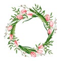Round wreath with watercolor tulips, genista, pistache branches. Hand drawn illustration is isolated on white. Flower frame