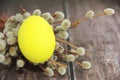 Round yellow Easter egg and willow branches on a wooden background Royalty Free Stock Photo
