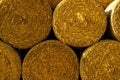 Yellow round bales of straw Royalty Free Stock Photo