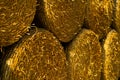 Yellow round bales of straw Royalty Free Stock Photo