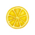 Round yellow slice of a lemon