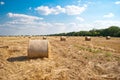 Round haystacks on a field of straw, on a sunny summer day, against a background of sky and trees Royalty Free Stock Photo