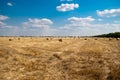 Round haystacks on a field of straw, on a sunny summer day, against a background of sky and trees Royalty Free Stock Photo