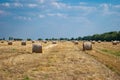 Round haystacks on a field of straw, on a sunny summer day, against a background of sky and trees Royalty Free Stock Photo