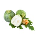 Round Zucchini isolated on white Royalty Free Stock Photo