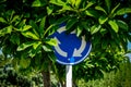 Roundabout crossroad traffic sign