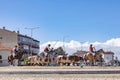 Roundabout at  Samora Correia with riders, horses and cows showing a traditional work of portugese Cowboys Royalty Free Stock Photo