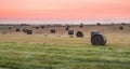 Round bales in a Texas hayfield at sunrise