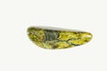 Rounded green jasper stone Royalty Free Stock Photo