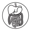 Rounded the human digestive system organs line art vector icon for apps and websites Royalty Free Stock Photo