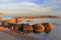 Gulf Islands National Park, Saturna Island, Tafoni on Rounded Sandstone Boulders at Sunrise, East Point, British Columbia, Canada Royalty Free Stock Photo