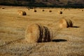 Rounded sheaves of straw in a field. The harvested straw crop Royalty Free Stock Photo