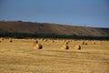 Rounded sheaves of straw in a field. The harvested straw crop Royalty Free Stock Photo