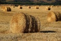 Rounded sheaves of straw in a field. The harvested straw crop Royalty Free Stock Photo