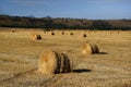Rounded sheaves of straw in a field. The harvested straw crop Royalty Free Stock Photo