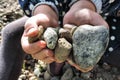 Rounded stones cobblestones in a handful of palms