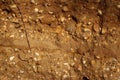 Rounded stones in moraine sand and gravel deposits