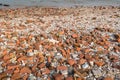 Rounded stones washed ashore