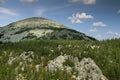 Rounded weathering mountain peak of white and grey stones, .rocks with green forest in bright summer day with sunbeams